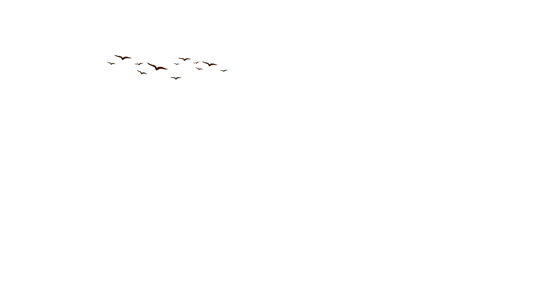 Cedar Creek Battlefield Foundation Inc logo